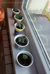 2012-09-05