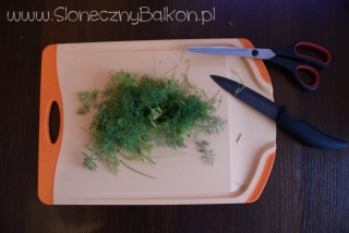 2012-06-04 koperek