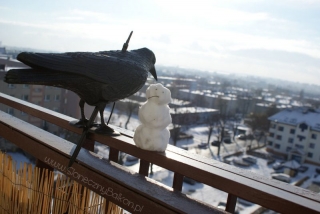 Zimowy słoneczny balkon