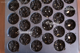 2013-03-23 zasiane od lewej - 3x pomidory, 2x papryka słodka, 1x cukinia
