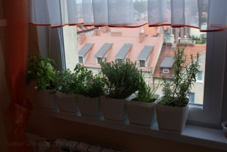 2012-10-08 zioła w kuchni