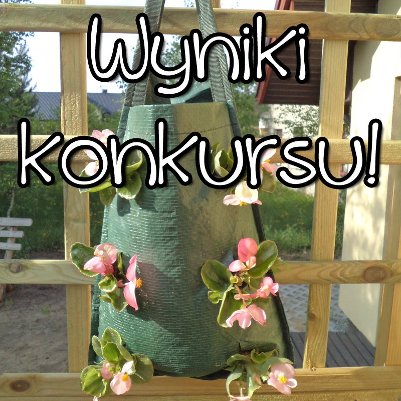 wyniki konkursu