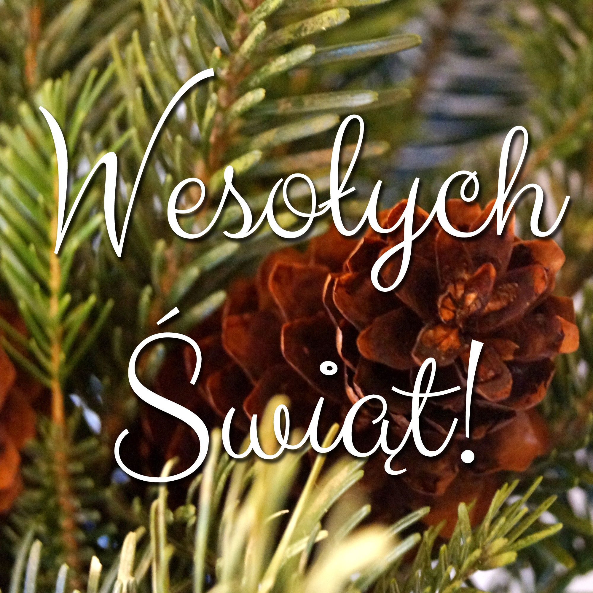 Wesołych Świąt!