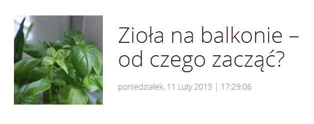 ziola na balkonie od czego zaczac