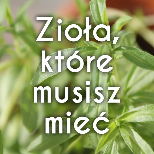 5 ziół, które musisz mieć