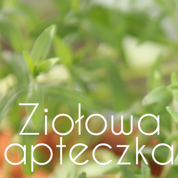 Zioła na dolegliwości
