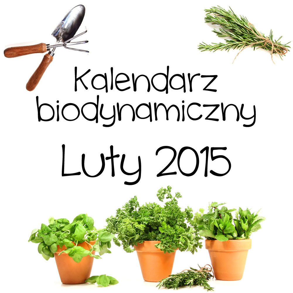 Kalendarz biodynamiczny – luty 2015