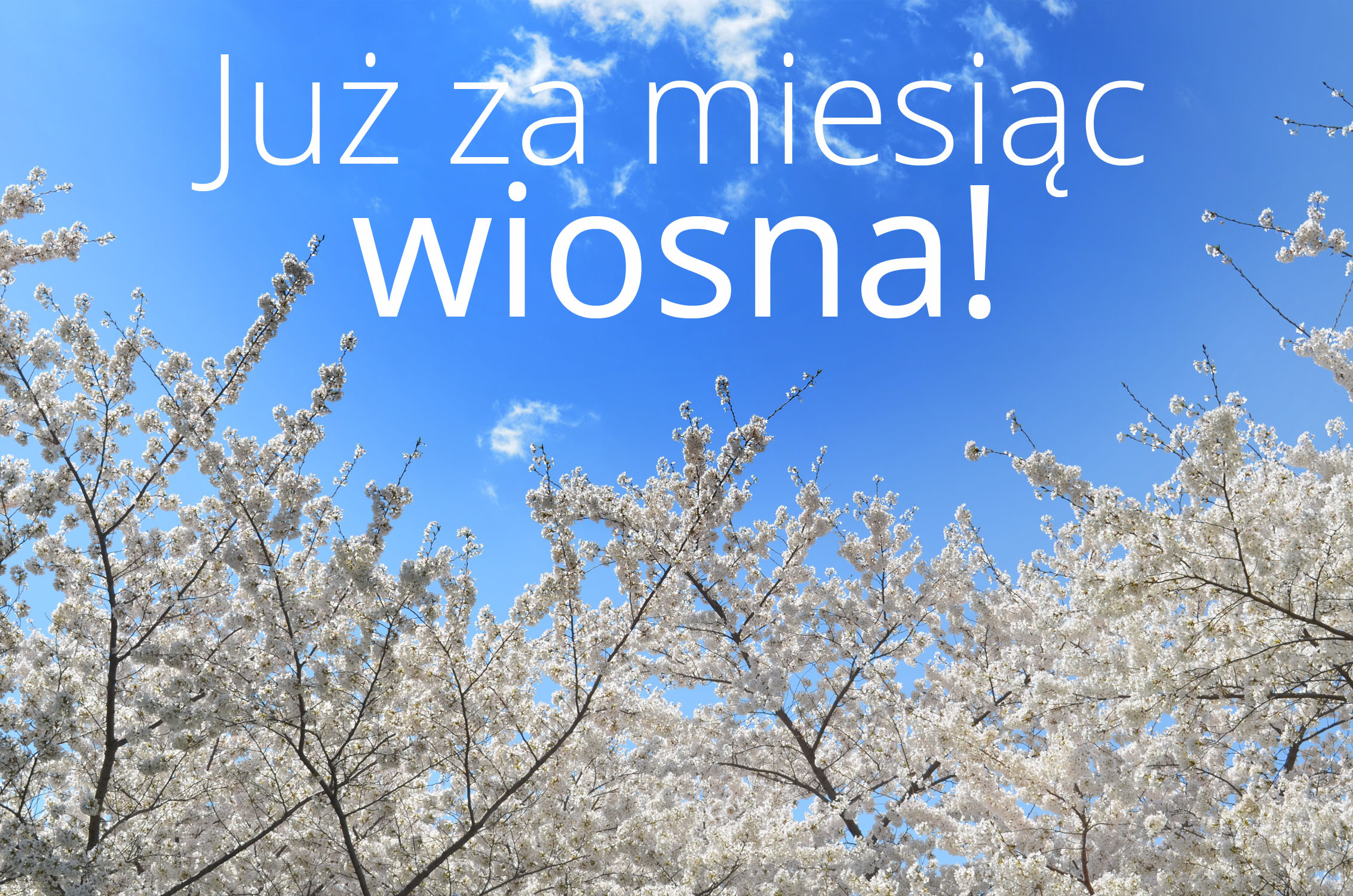 wiosna za miesiac