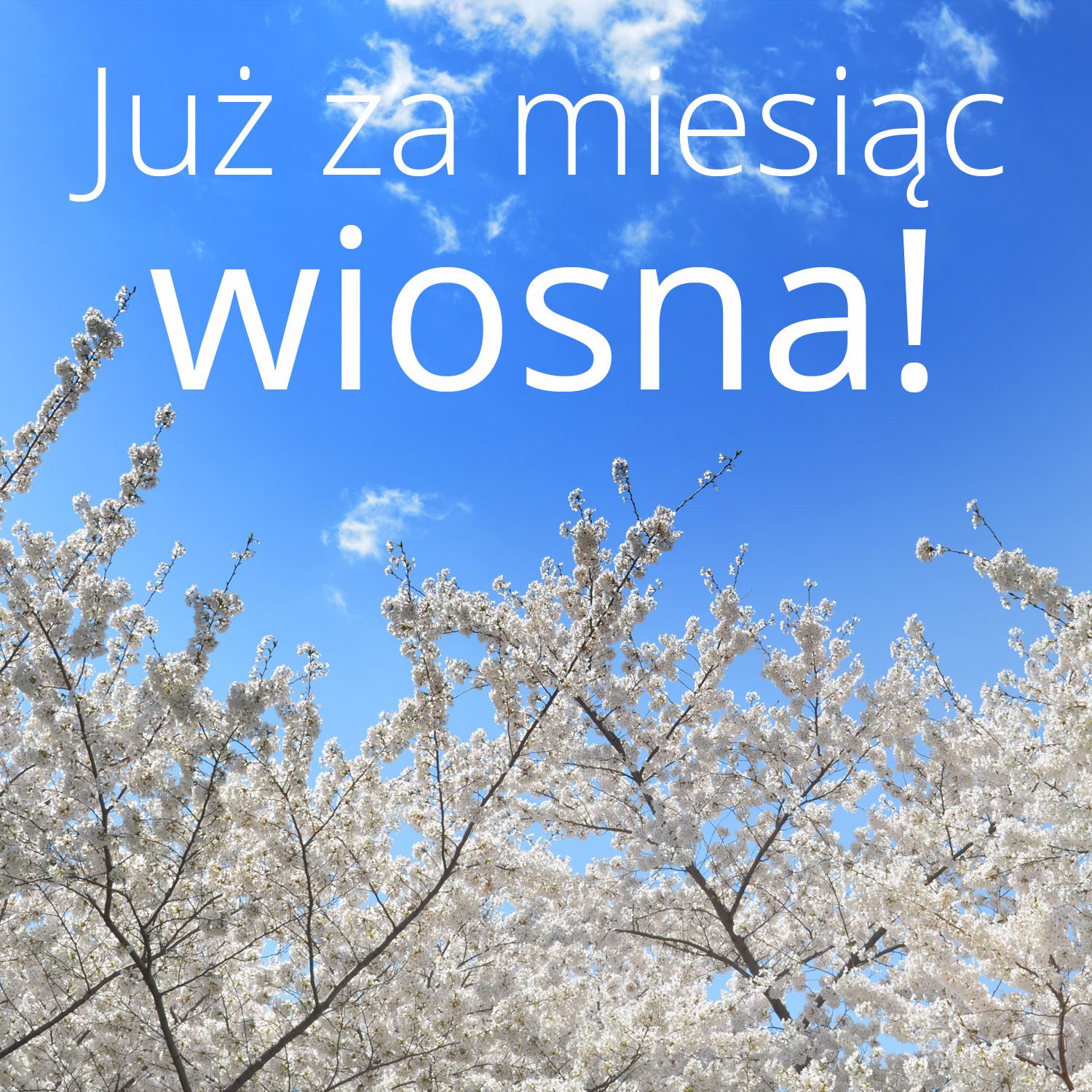 Miesiąc do wiosny – dobrze się przygotuj!