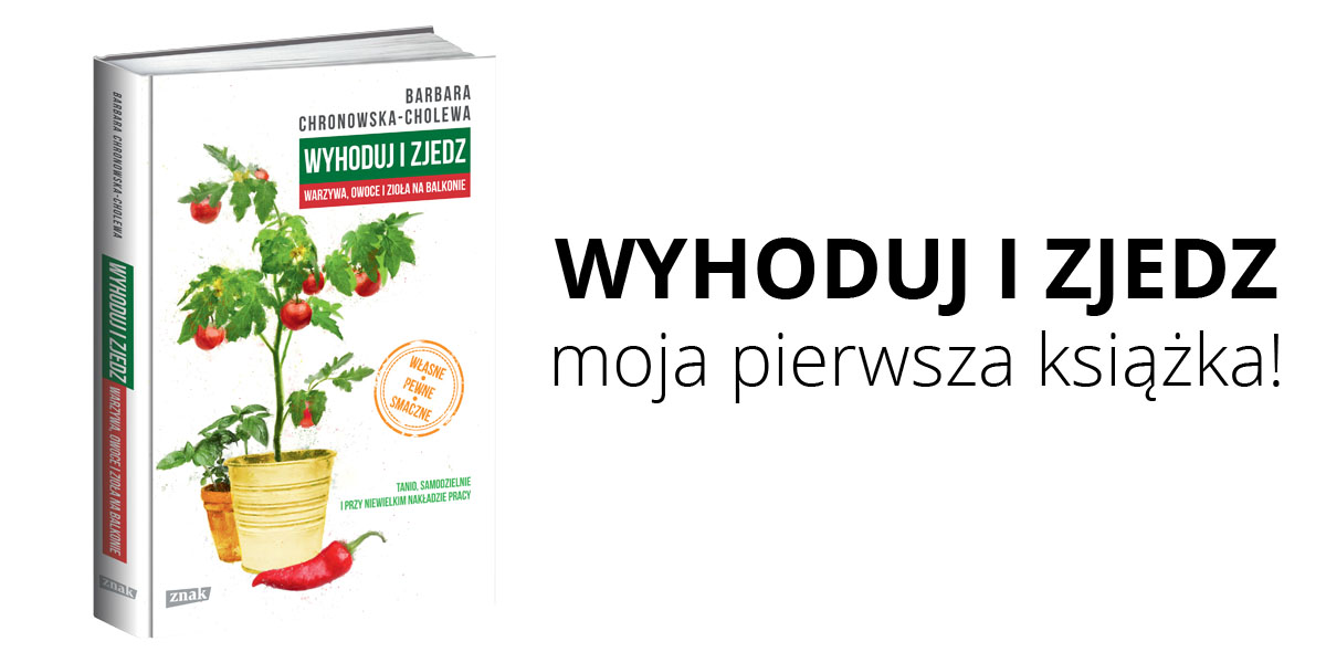 „Wyhoduj i zjedz” – moja pierwsza książka!