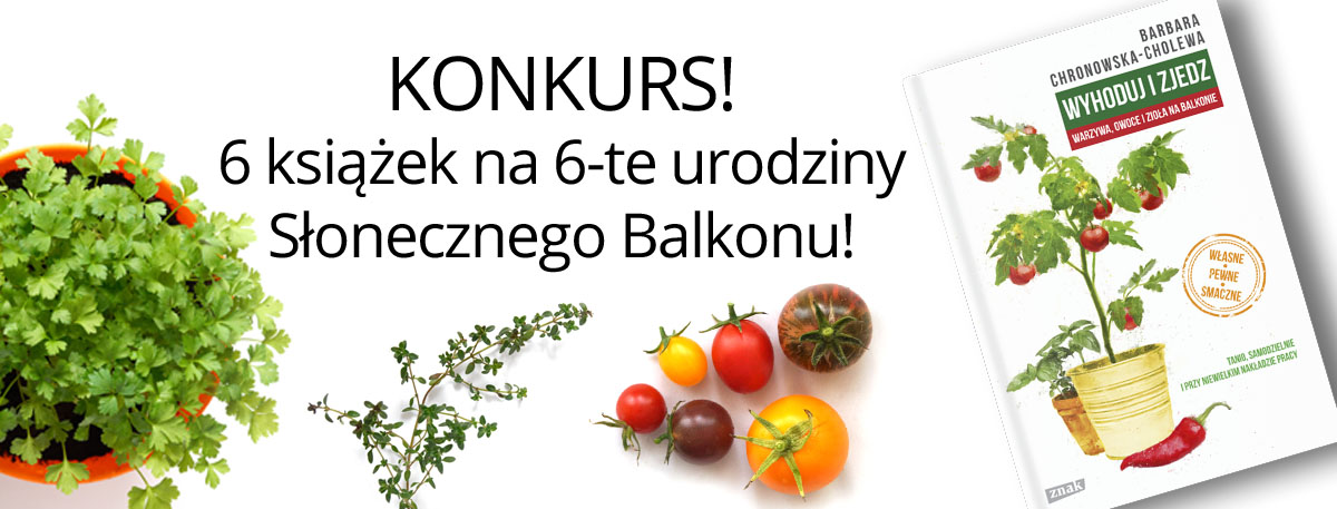 Konkurs urodzinowy! 6 książek na 6-te urodziny!