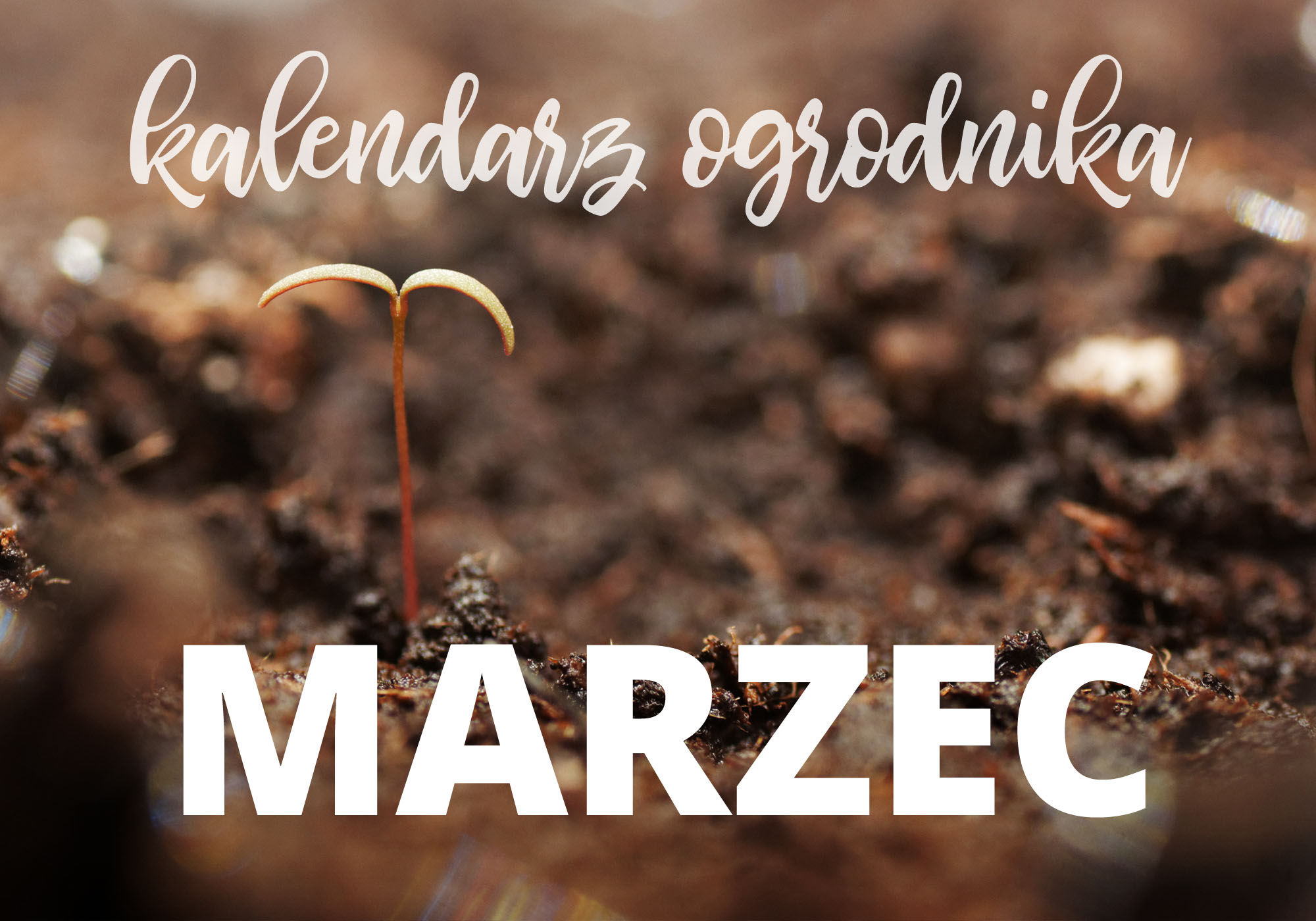 Kalendarz ogrodnika – marzec