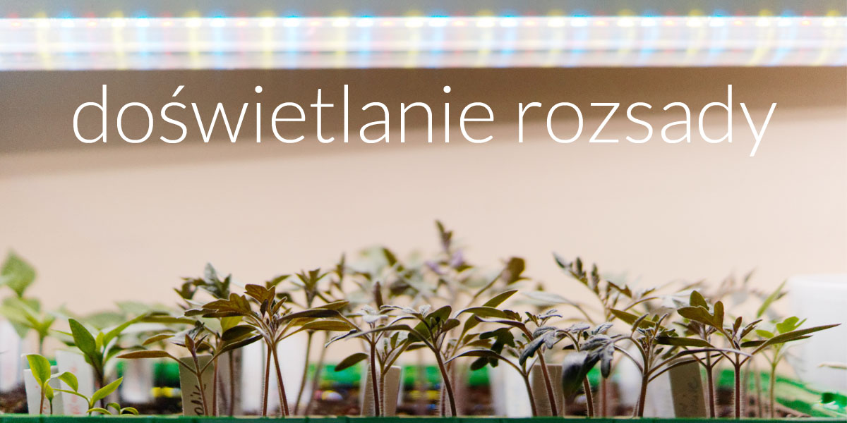 Oświetlenie dla młodych roślin